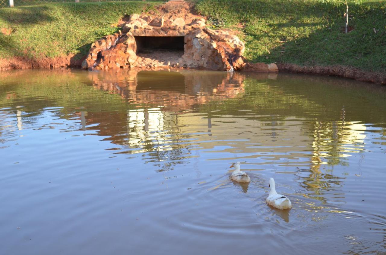 Pousada Coqueiro Verde Minas Gerais Матеус-Леми Экстерьер фото